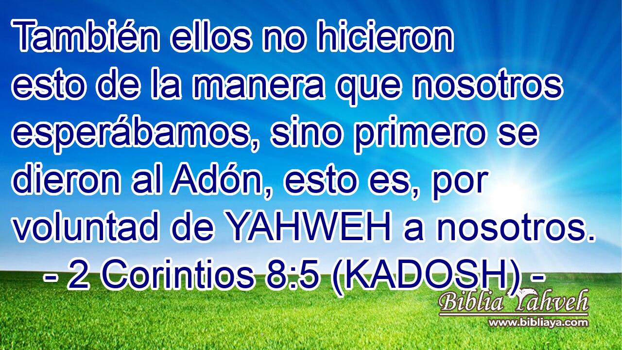 También ellos no hicieron esto de la manera que nosotros esperábamos, sino primero se dieron al Adón, esto es, por voluntad de YAHWEH a nosotros. 
