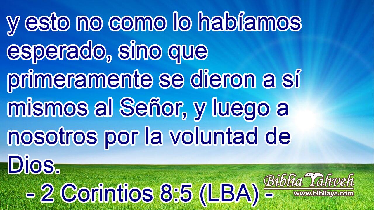 y esto no como lo habíamos esperado, sino que primeramente se dieron a sí mismos al Señor, y luego a nosotros por la voluntad de Dios.