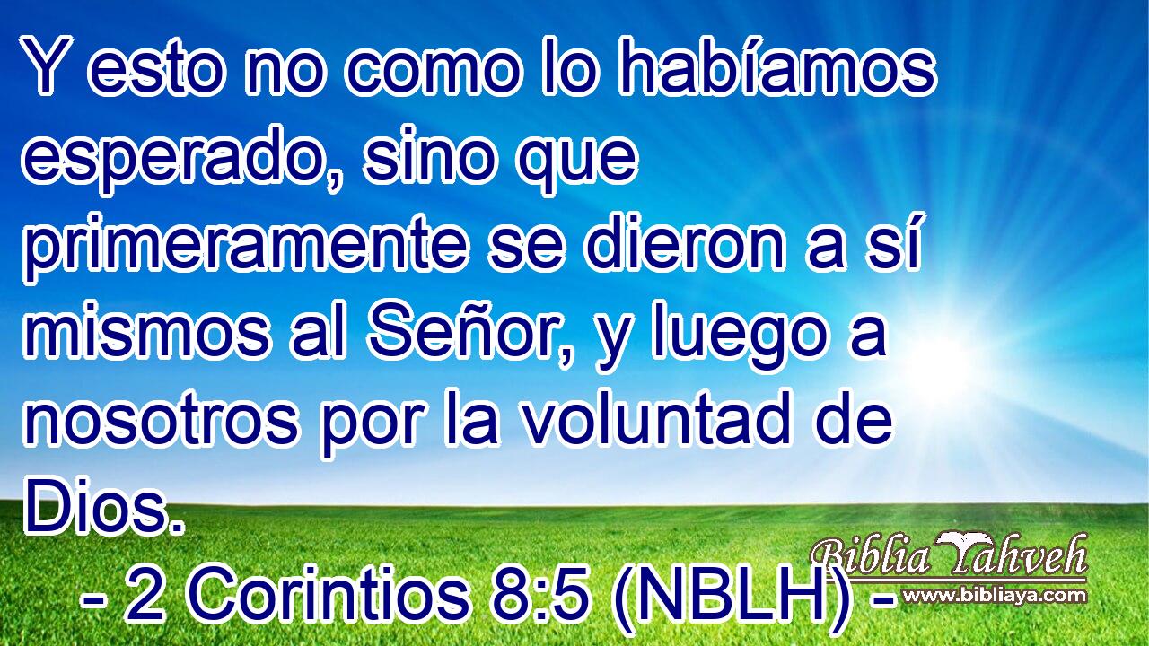  Y esto no como lo habíamos esperado, sino que primeramente se dieron a sí mismos al Señor, y luego a nosotros por la voluntad de Dios. 
