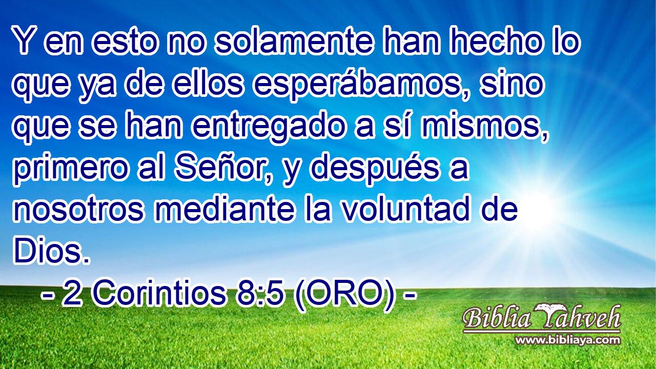  Y en esto no solamente han hecho lo que ya de ellos esperábamos, sino que se han entregado a sí mismos, primero al Señor, y después a nosotros mediante la voluntad de Dios. 