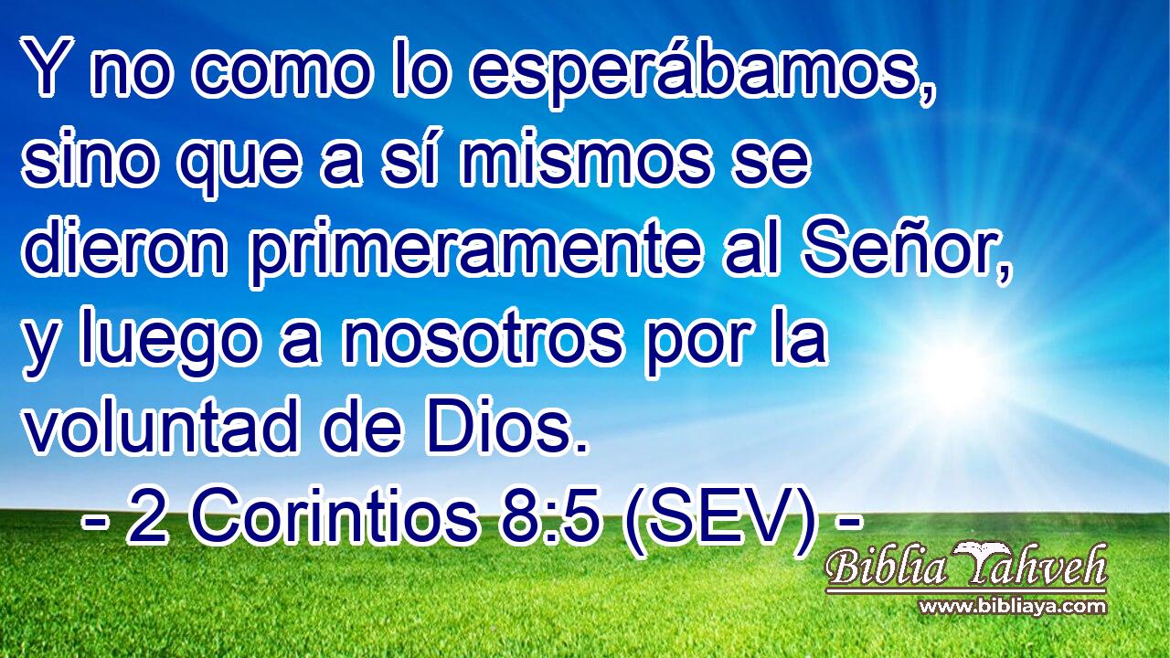 Y no como lo esperábamos, sino que a sí mismos se dieron primeramente al Señor, y luego a nosotros por la voluntad de Dios.