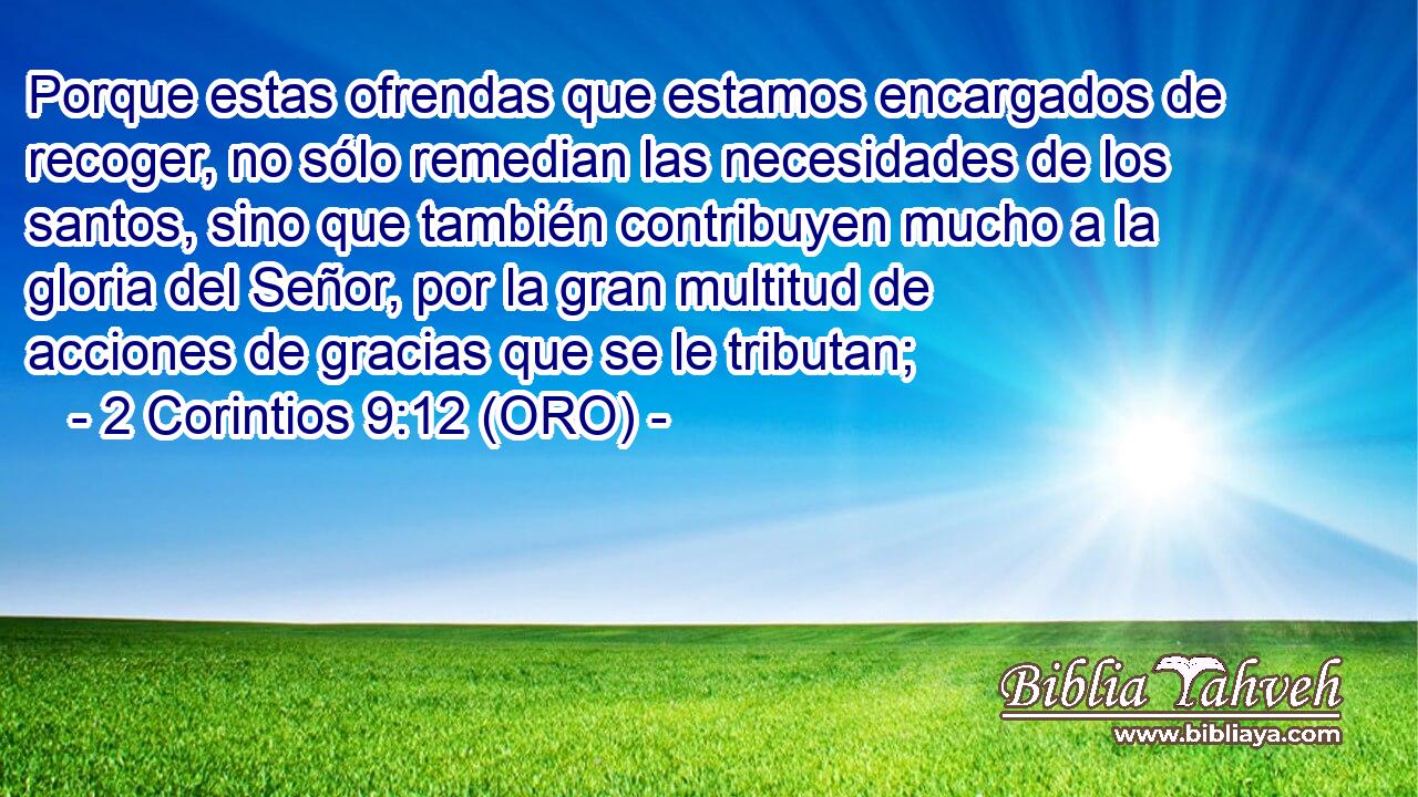  Porque estas ofrendas que estamos encargados de recoger, no sólo remedian las necesidades de los santos, sino que también contribuyen mucho a la gloria del Señor, por la gran multitud de acciones de gracias que se le tributan; 