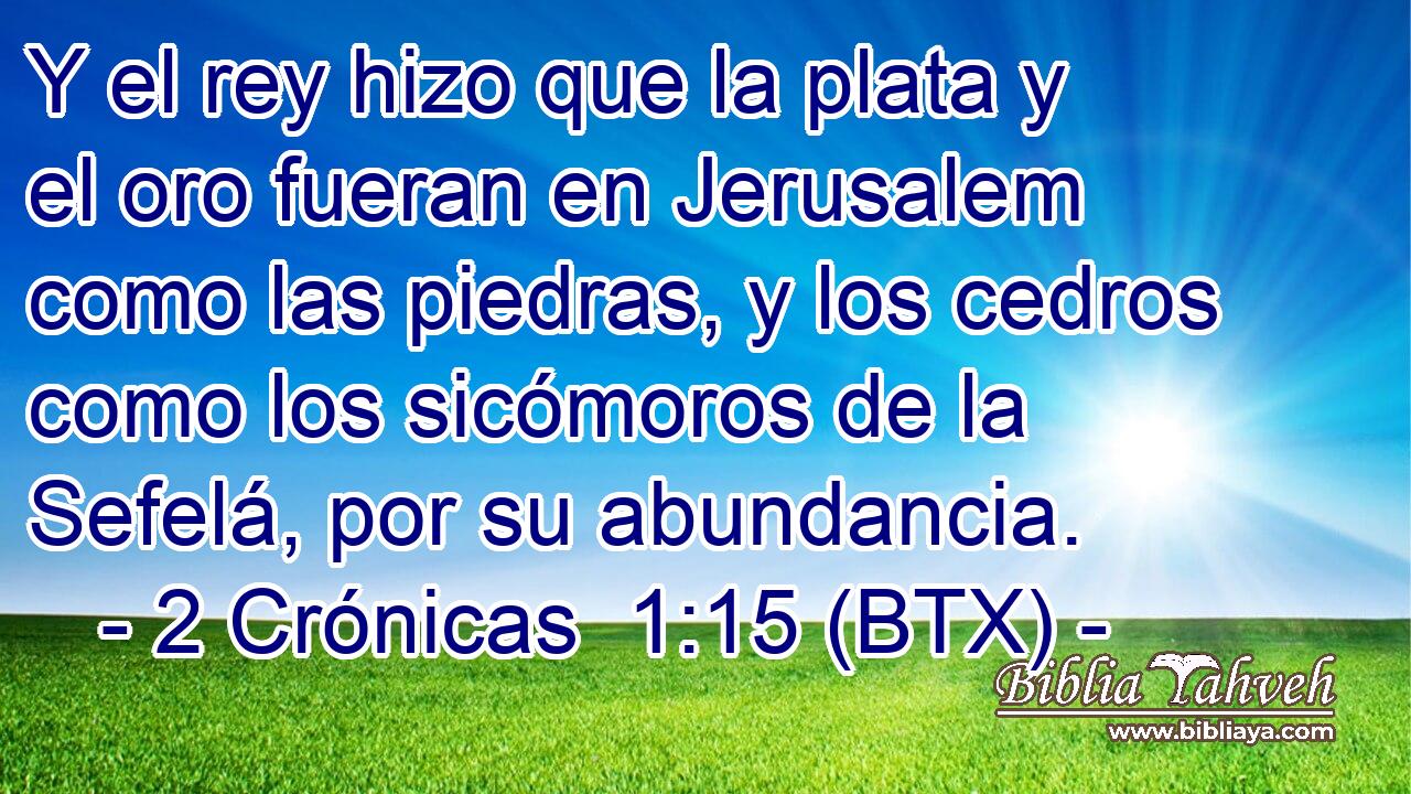 Y el rey hizo que la plata y el oro fueran en Jerusalem como las piedras, y los cedros como los sicómoros de la Sefelá, por su abundancia.