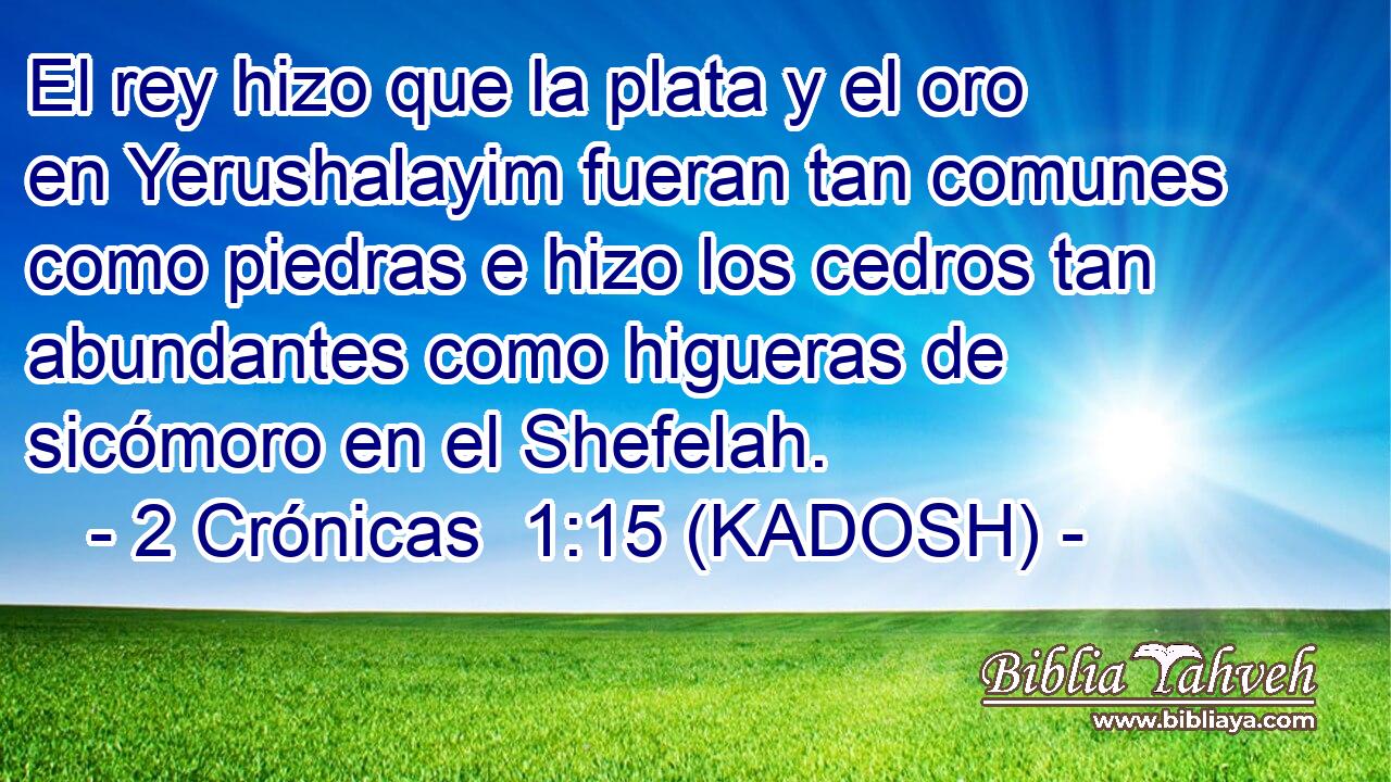  El rey hizo que la plata y el oro en Yerushalayim fueran tan comunes como piedras e hizo los cedros tan abundantes como higueras de sicómoro en el Shefelah. 