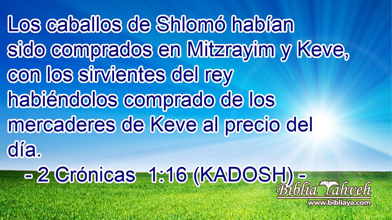  Los caballos de Shlomó habían sido comprados en Mitzrayim y Keve, con los sirvientes del rey habiéndolos comprado de los mercaderes de Keve al precio del día. 