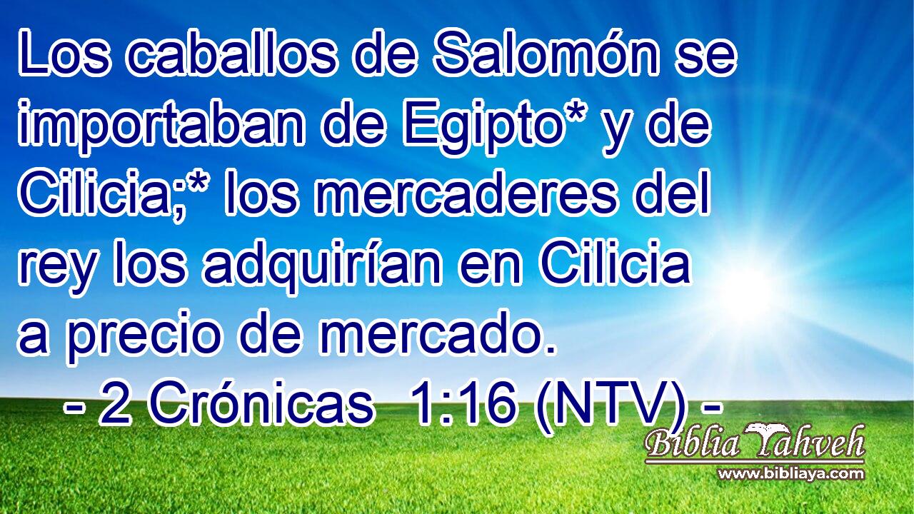 Los caballos de Salomón se importaban de Egipto* y de Cilicia;* los mercaderes del rey los adquirían en Cilicia a precio de mercado.