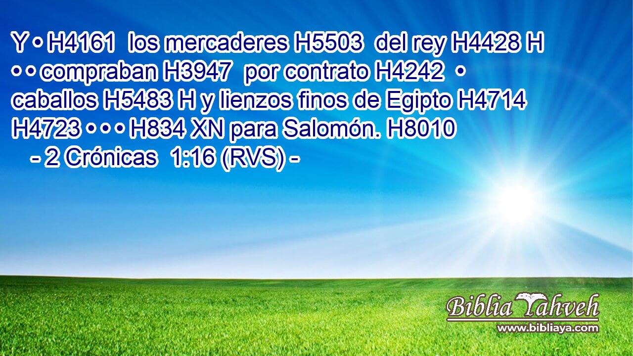 Y • H4161  los mercaderes H5503  del rey H4428 H • • compraban H3947  por contrato H4242  • caballos H5483 H y lienzos finos de Egipto H4714  H4723 • • • H834 XN para Salomón. H8010  