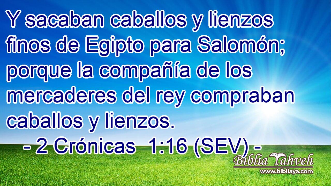 Y sacaban caballos y lienzos finos de Egipto para Salomón; porque la compañía de los mercaderes del rey compraban caballos y lienzos.