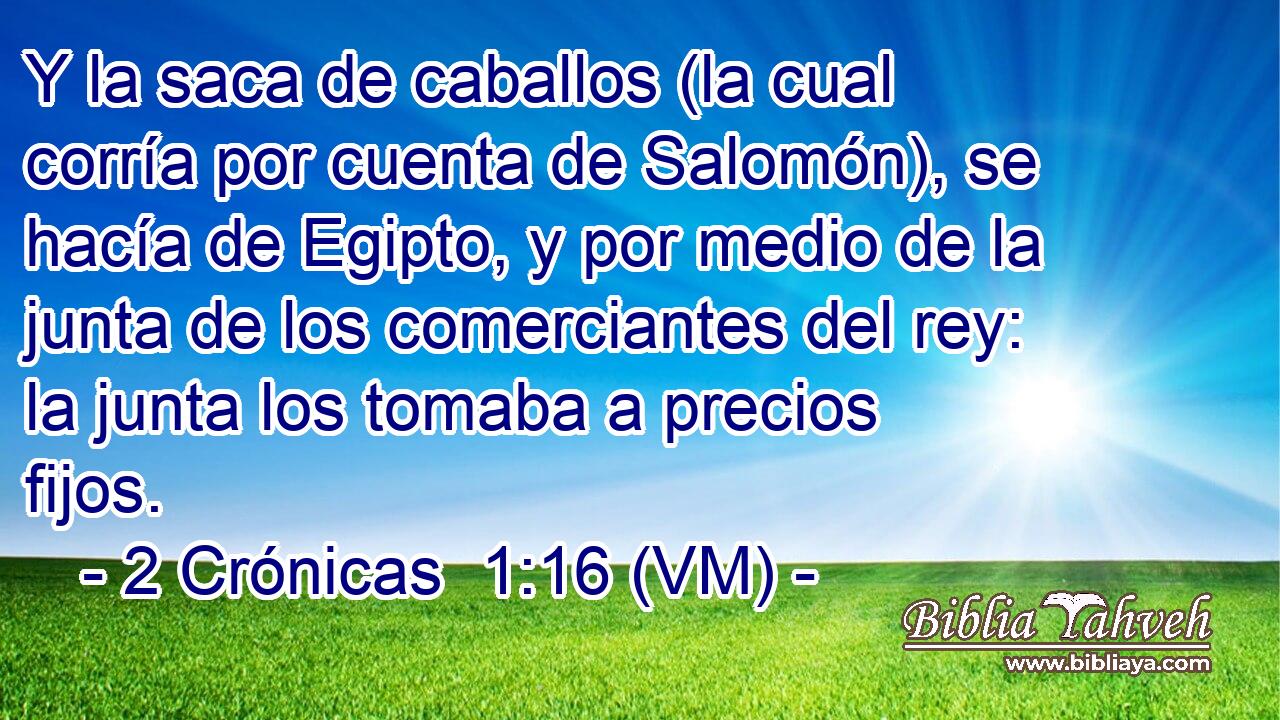  Y la saca de caballos (la cual corría por cuenta de Salomón), se hacía de Egipto, y por medio de la junta de los comerciantes del rey: la junta los tomaba a precios fijos. 