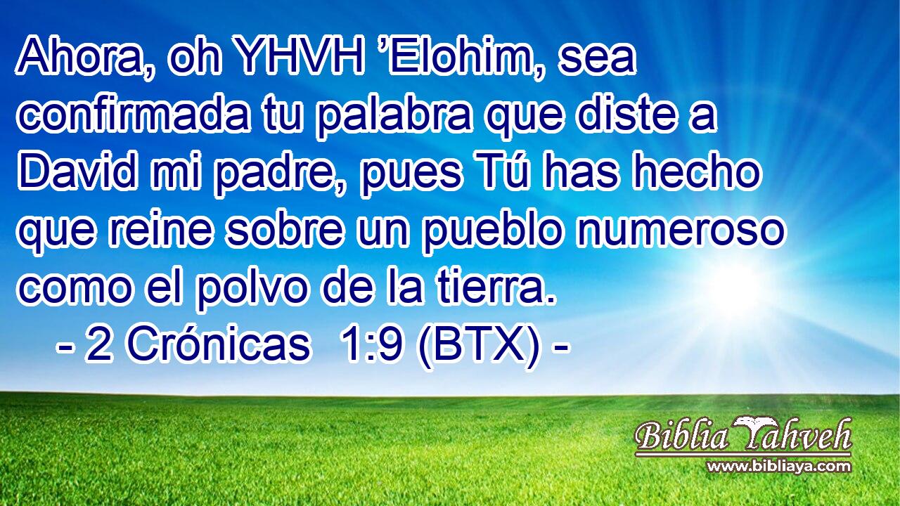 Ahora, oh YHVH ’Elohim, sea confirmada tu palabra que diste a David mi padre, pues Tú has hecho que reine sobre un pueblo numeroso como el polvo de la tierra.