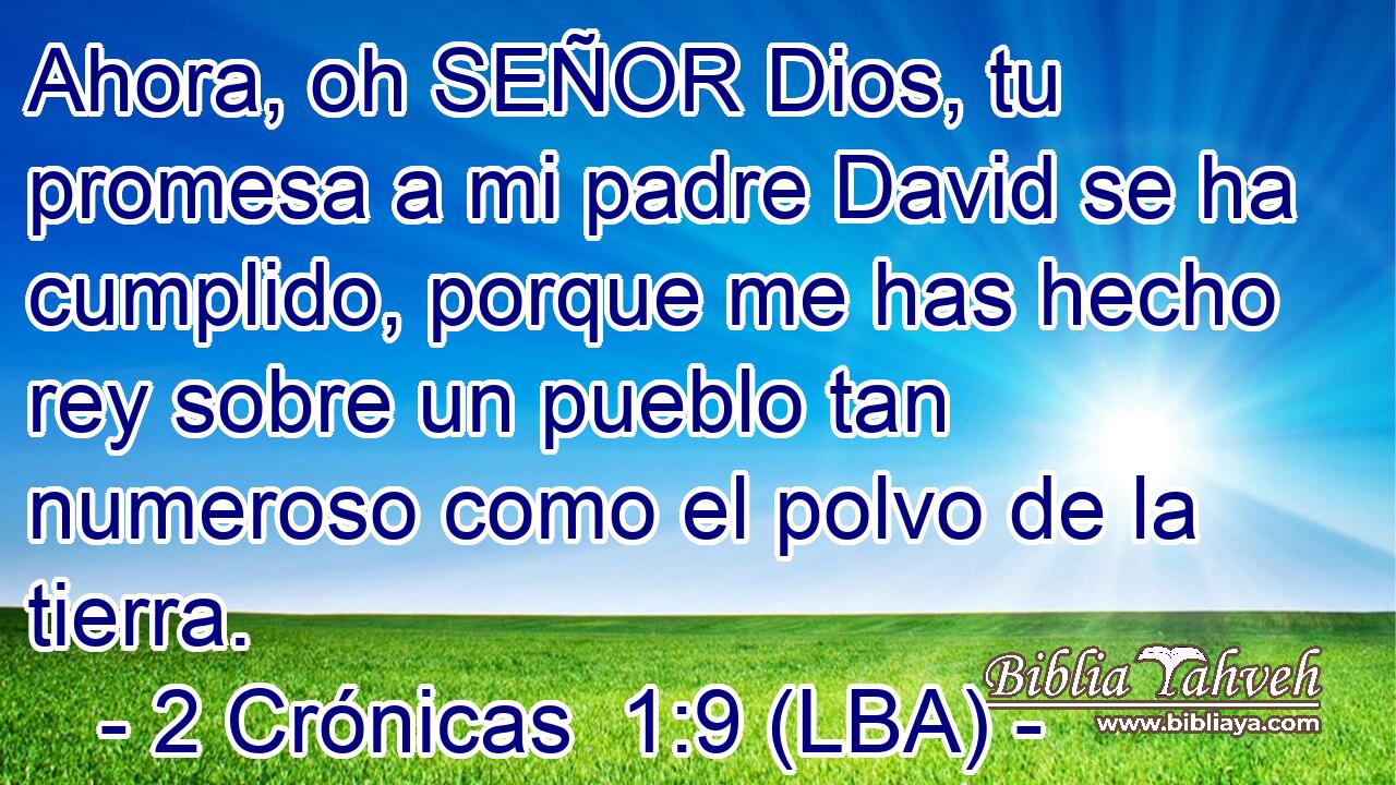 Ahora, oh SEÑOR Dios, tu promesa a mi padre David se ha cumplido, porque me has hecho rey sobre un pueblo tan numeroso como el polvo de la tierra.