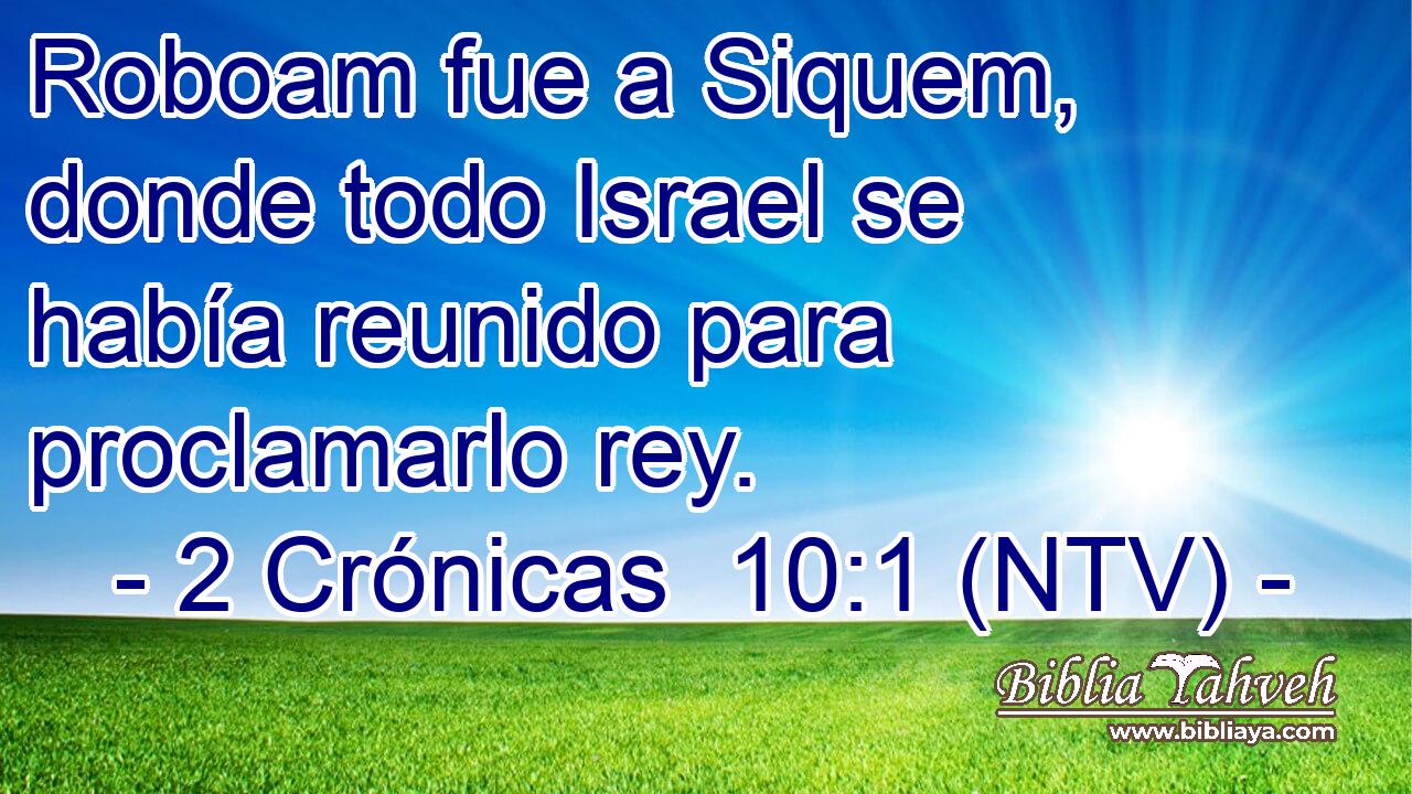 Roboam fue a Siquem, donde todo Israel se había reunido para proclamarlo rey.