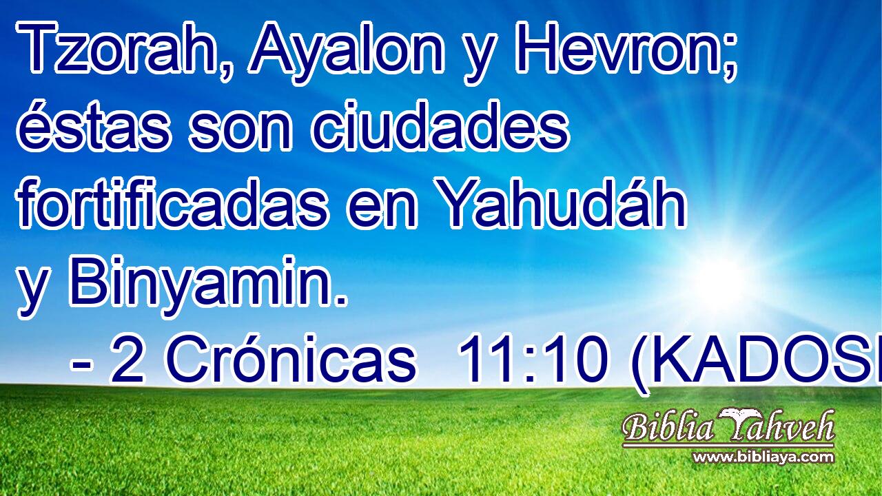 Tzorah, Ayalon y Hevron; éstas son ciudades fortificadas en Yahudáh y Binyamin. 