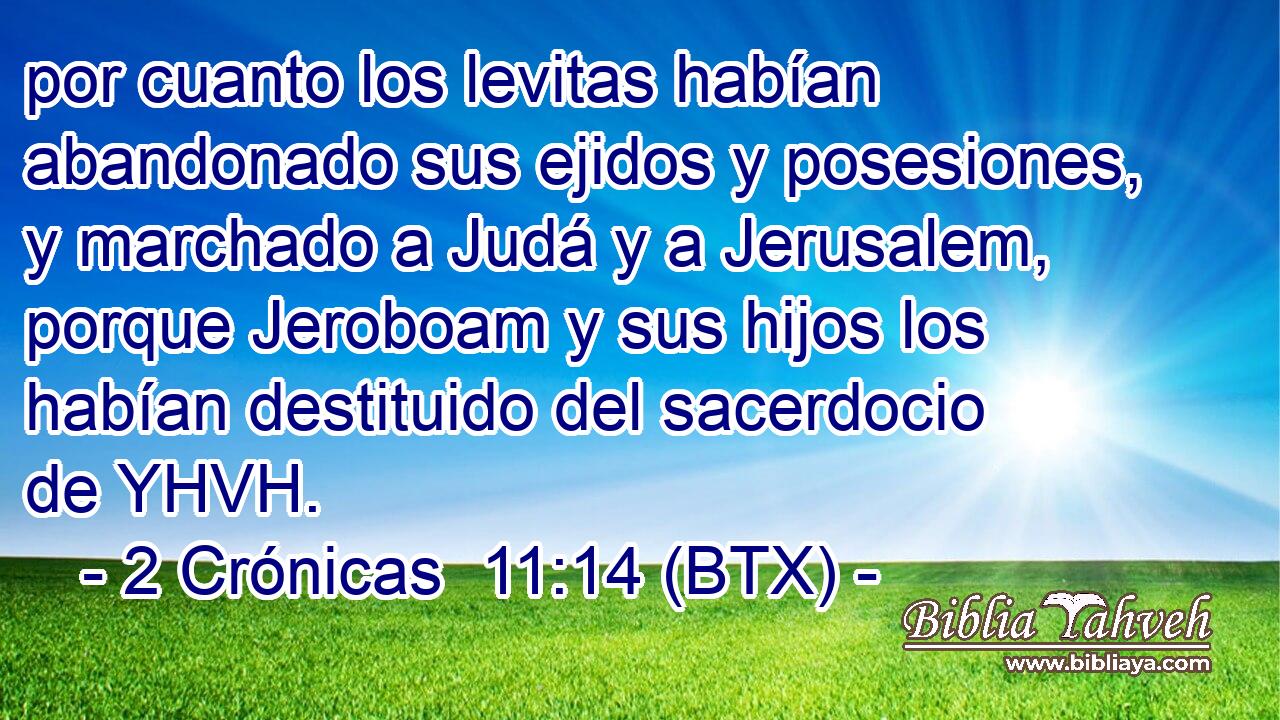 por cuanto los levitas habían abandonado sus ejidos y posesiones, y marchado a Judá y a Jerusalem, porque Jeroboam y sus hijos los habían destituido del sacerdocio de YHVH.
