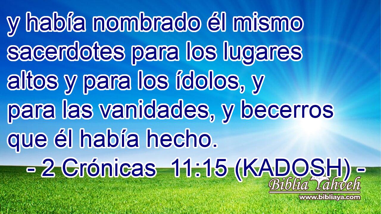  y había nombrado él mismo sacerdotes para los lugares altos y para los ídolos, y para las vanidades, y becerros que él había hecho. 