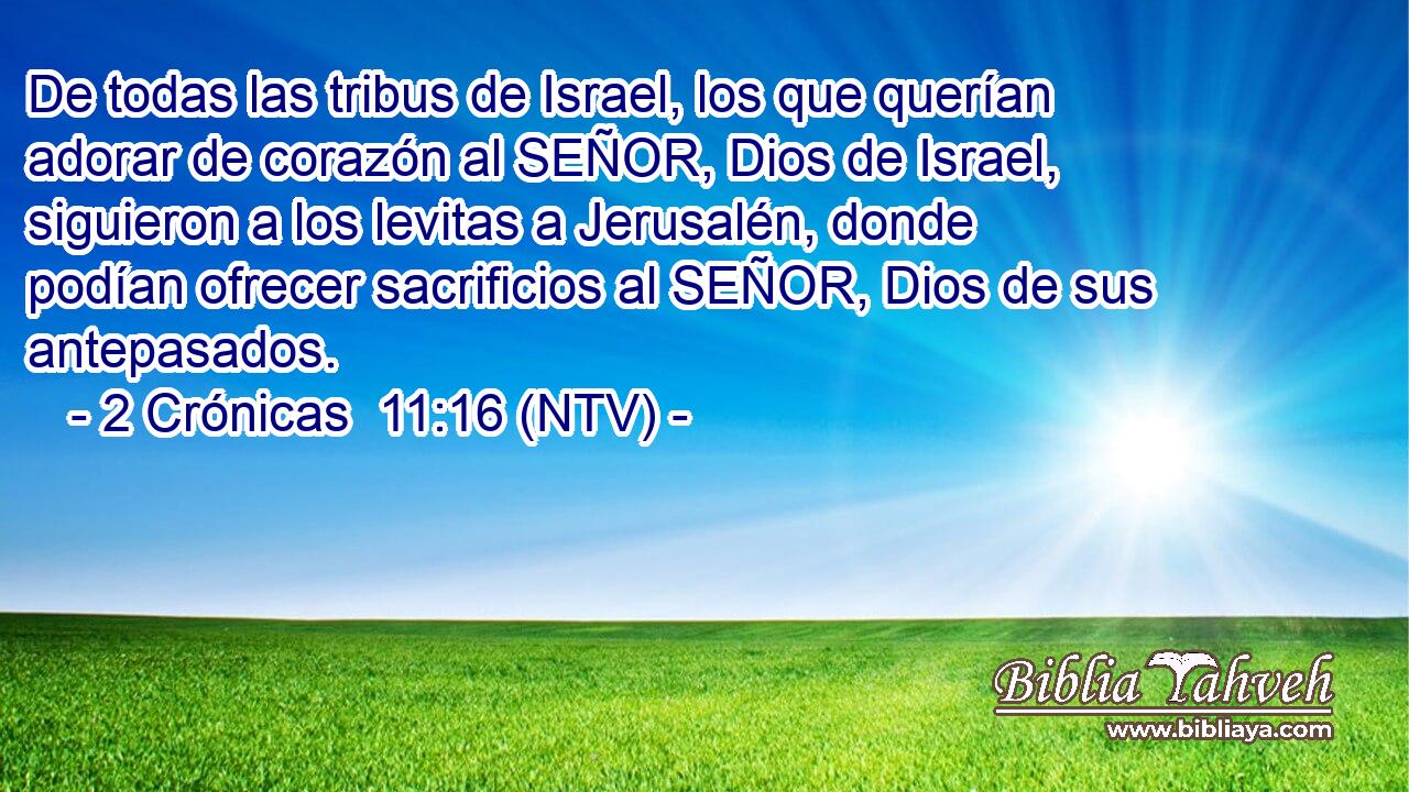 De todas las tribus de Israel, los que querían adorar de corazón al SEÑOR, Dios de Israel, siguieron a los levitas a Jerusalén, donde podían ofrecer sacrificios al SEÑOR, Dios de sus antepasados.