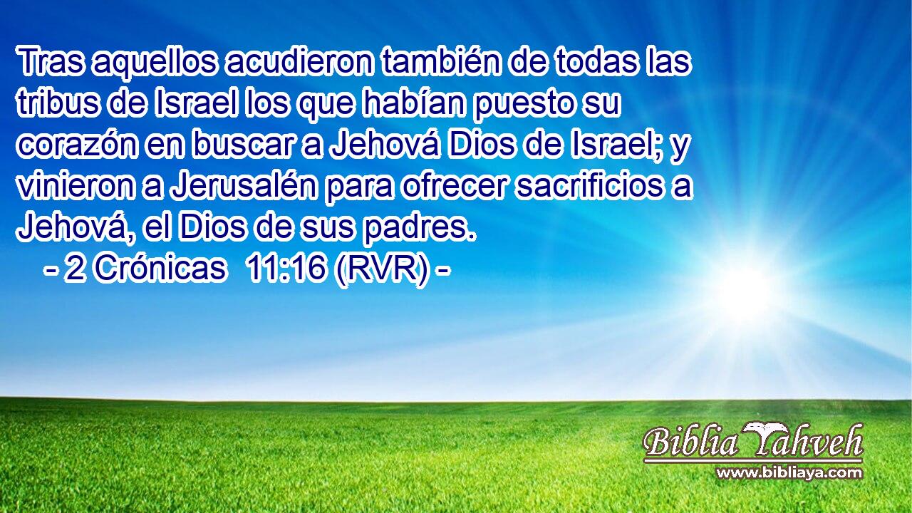 Tras aquellos acudieron también de todas las tribus de Israel los que habían puesto su corazón en buscar a Jehová Dios de Israel; y vinieron a Jerusalén para ofrecer sacrificios a Jehová, el Dios de sus padres.