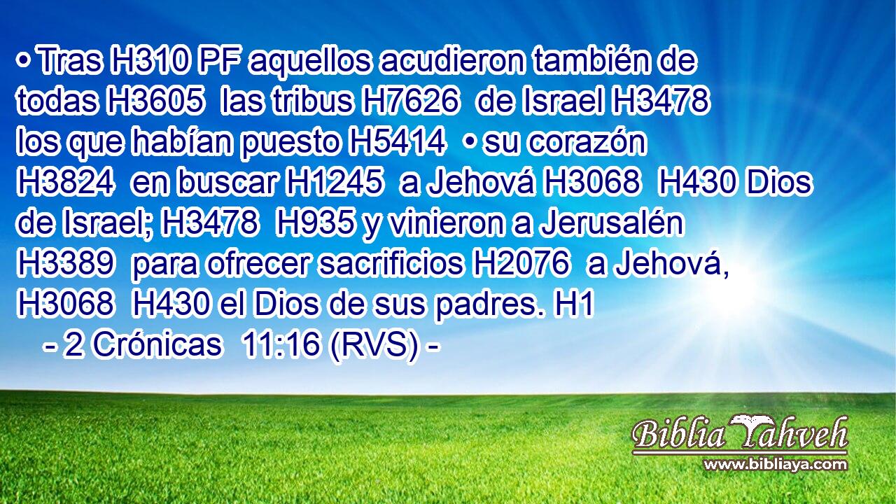 • Tras H310 PF aquellos acudieron también de todas H3605  las tribus H7626  de Israel H3478  los que habían puesto H5414  • su corazón H3824  en buscar H1245  a Jehová H3068  H430 Dios de Israel; H3478  H935 y vinieron a Jerusalén H3389  para ofrecer sacrificios H2076  a Jehová, H3068  H430 el Dios de sus padres. H1  