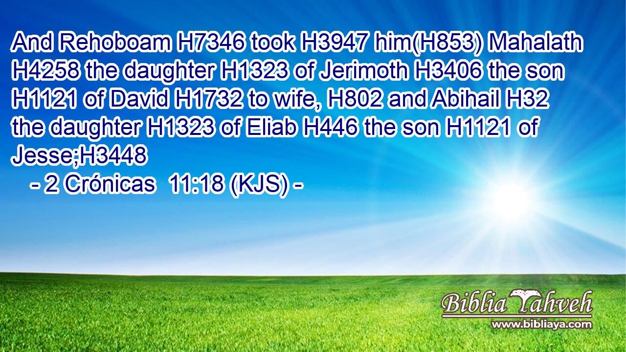 And Rehoboam H7346 took H3947 him(H853) Mahalath H4258 the daughter H1323 of Jerimoth H3406 the son H1121 of David H1732 to wife, H802 and Abihail H32 the daughter H1323 of Eliab H446 the son H1121 of Jesse;H3448