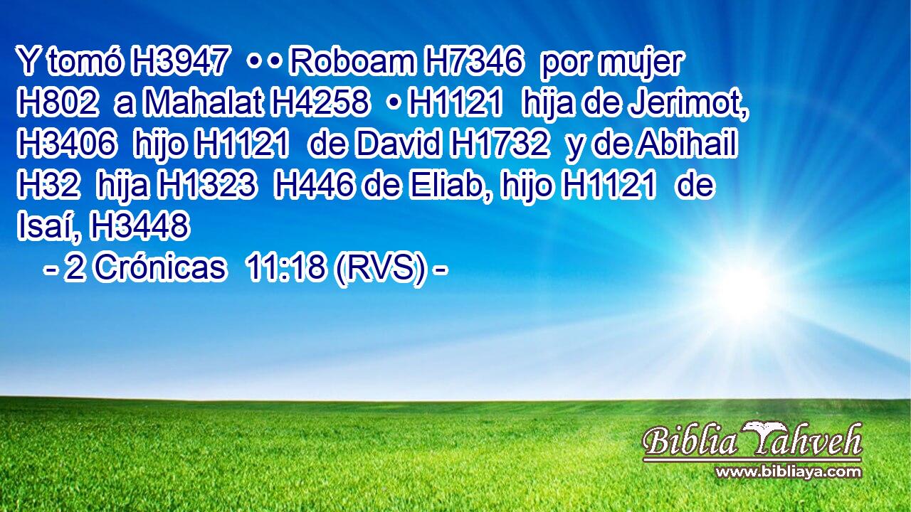 Y tomó H3947  • • Roboam H7346  por mujer H802  a Mahalat H4258  • H1121  hija de Jerimot, H3406  hijo H1121  de David H1732  y de Abihail H32  hija H1323  H446 de Eliab, hijo H1121  de Isaí, H3448  