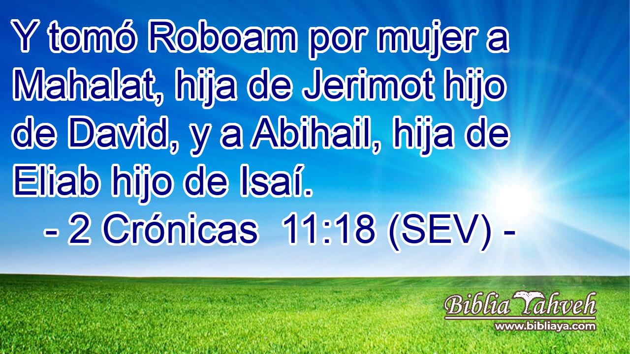 Y tomó Roboam por mujer a Mahalat, hija de Jerimot hijo de David, y a Abihail, hija de Eliab hijo de Isaí.