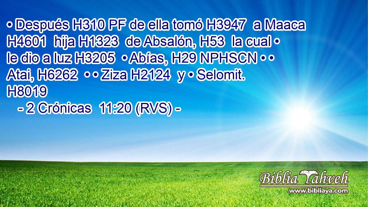 • Después H310 PF de ella tomó H3947  a Maaca H4601  hija H1323  de Absalón, H53  la cual • le dio a luz H3205  • Abías, H29 NPHSCN • • Atai, H6262  • • Ziza H2124  y • Selomit. H8019  