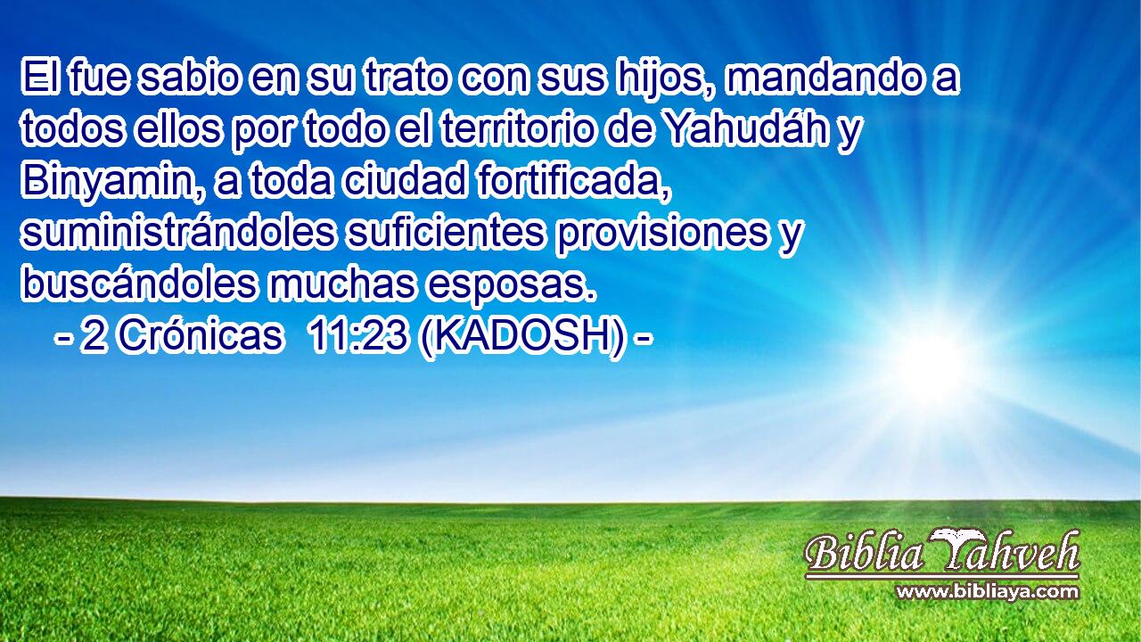  El fue sabio en su trato con sus hijos, mandando a todos ellos por todo el territorio de Yahudáh y Binyamin, a toda ciudad fortificada, suministrándoles suficientes provisiones y buscándoles muchas esposas. 