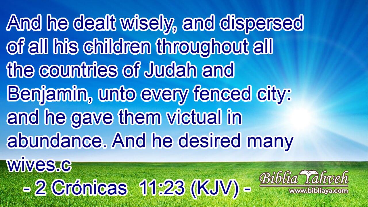 And he dealt wisely, and dispersed of all his children throughout all the countries of Judah and Benjamin, unto every fenced city: and he gave them victual in abundance. And he desired many wives.c