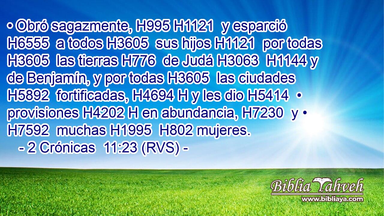 • Obró sagazmente, H995 H1121  y esparció H6555  a todos H3605  sus hijos H1121  por todas H3605  las tierras H776  de Judá H3063  H1144 y de Benjamín, y por todas H3605  las ciudades H5892  fortificadas, H4694 H y les dio H5414  • provisiones H4202 H en abundancia, H7230  y • H7592  muchas H1995  H802 mujeres. 