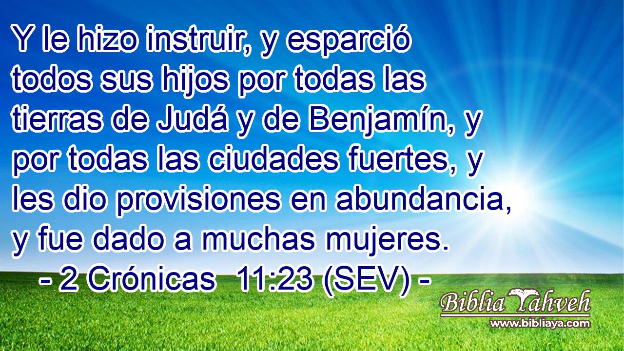 Y le hizo instruir, y esparció todos sus hijos por todas las tierras de Judá y de Benjamín, y por todas las ciudades fuertes, y les dio provisiones en abundancia, y fue dado a muchas mujeres.