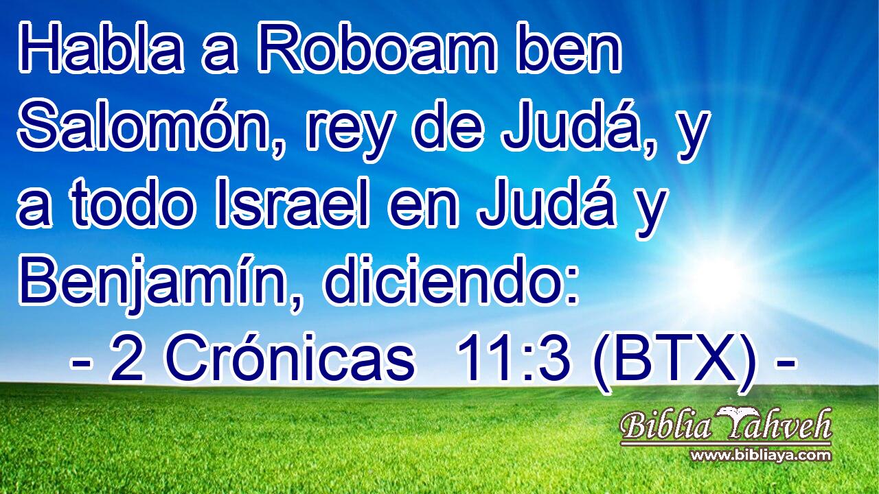Habla a Roboam ben Salomón, rey de Judá, y a todo Israel en Judá y Benjamín, diciendo: