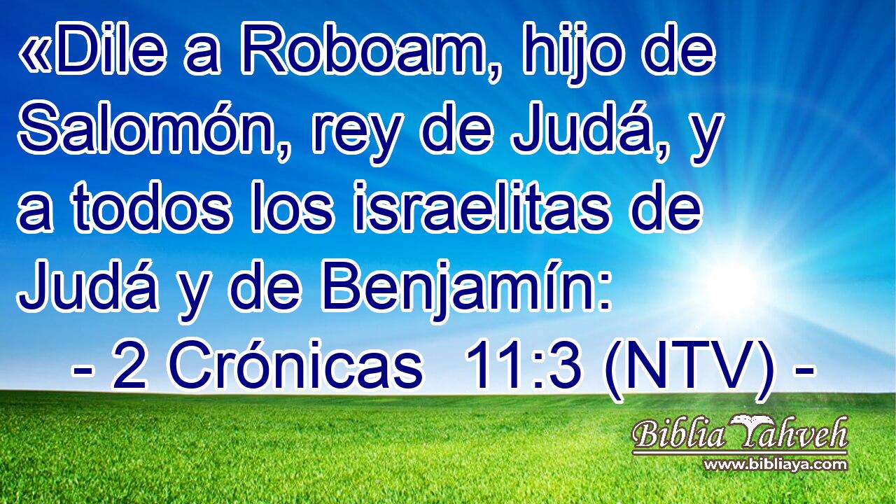 «Dile a Roboam, hijo de Salomón, rey de Judá, y a todos los israelitas de Judá y de Benjamín: