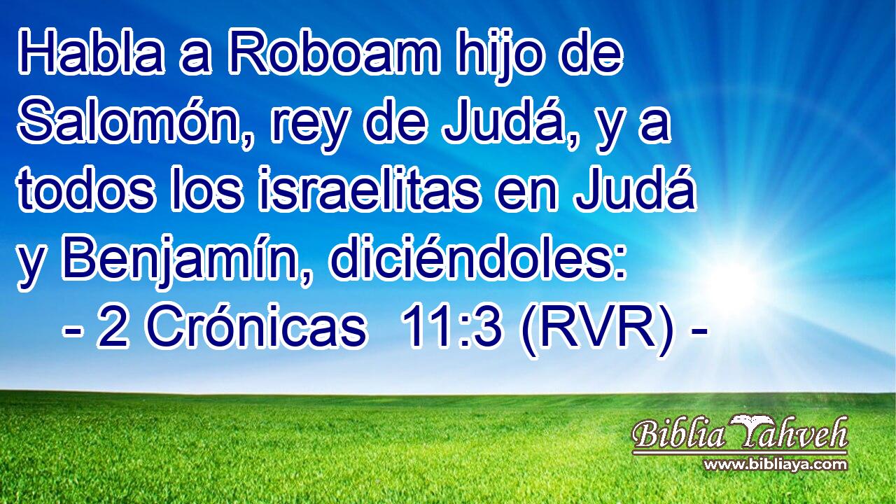 Habla a Roboam hijo de Salomón, rey de Judá, y a todos los israelitas en Judá y Benjamín, diciéndoles: