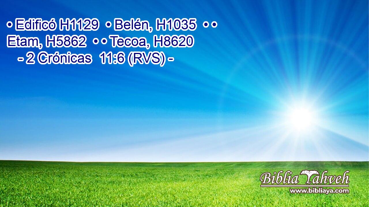 • Edificó H1129  • Belén, H1035  • • Etam, H5862  • • Tecoa, H8620  