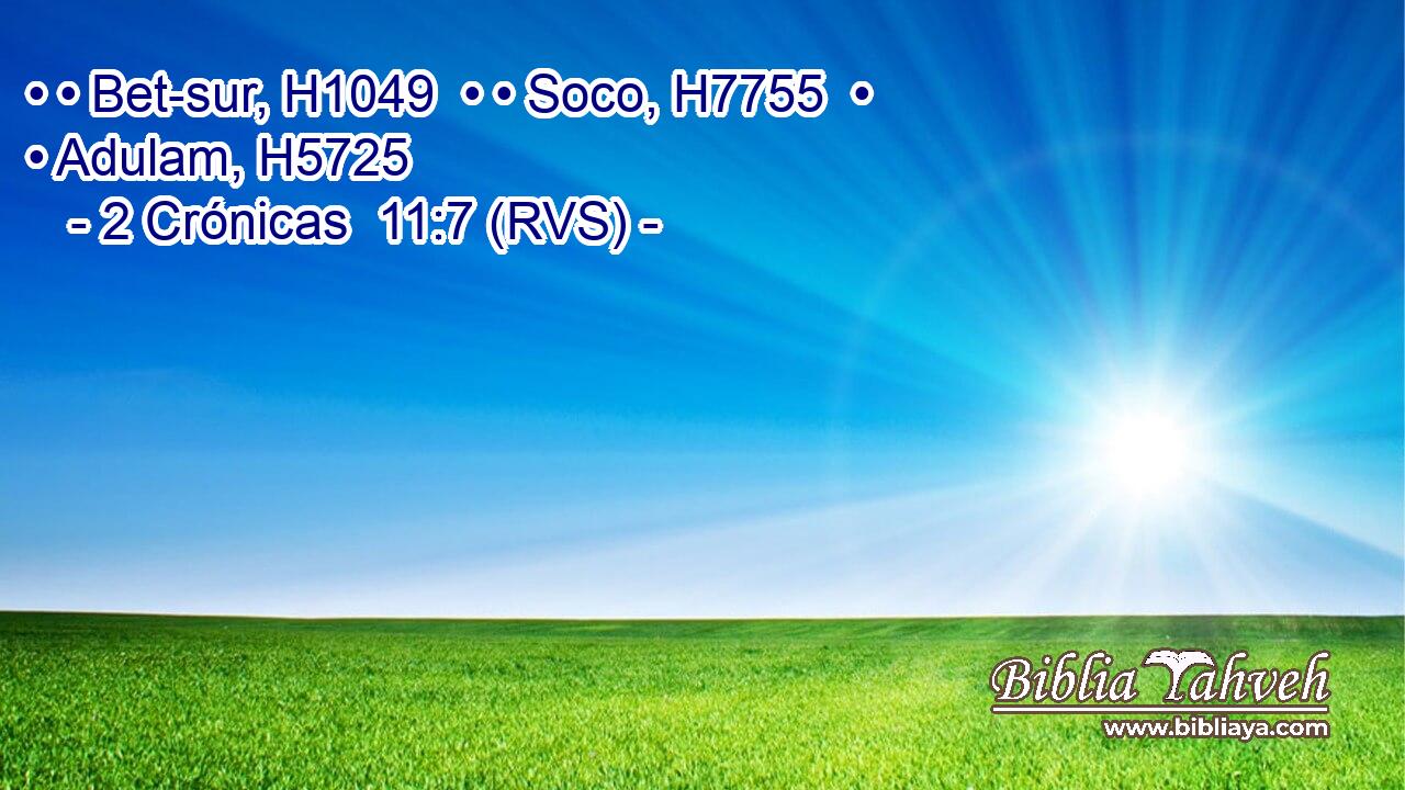 • • Bet-sur, H1049  • • Soco, H7755  • • Adulam, H5725  