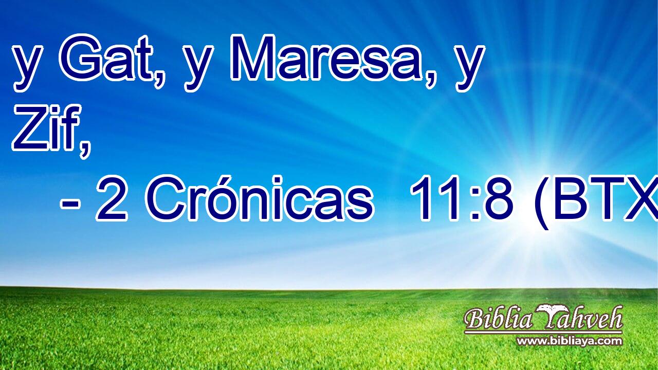 y Gat, y Maresa, y Zif,