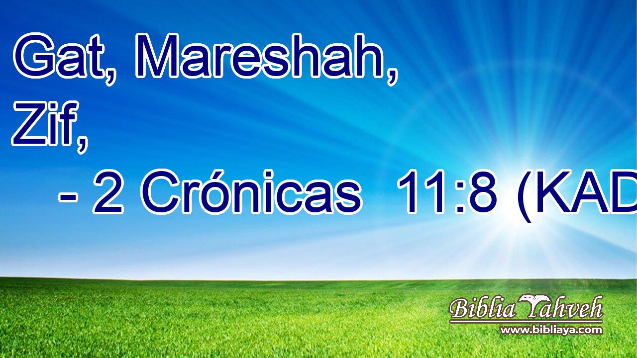  Gat, Mareshah, Zif, 