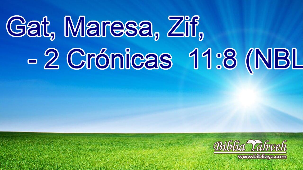  Gat, Maresa, Zif, 