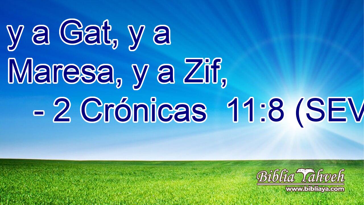 y a Gat, y a Maresa, y a Zif,