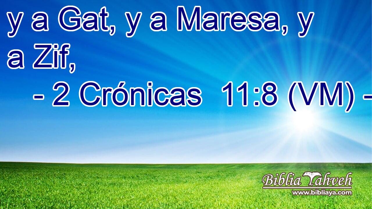  y a Gat, y a Maresa, y a Zif, 