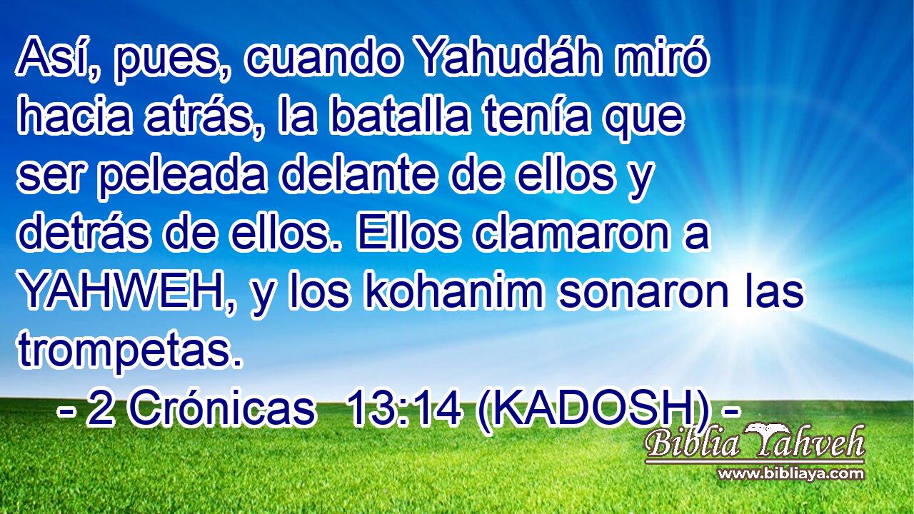  Así, pues, cuando Yahudáh miró hacia atrás, la batalla tenía que ser peleada delante de ellos y detrás de ellos. Ellos clamaron a YAHWEH, y los kohanim sonaron las trompetas. 