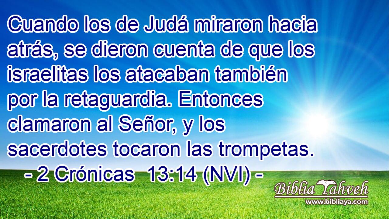  Cuando los de Judá miraron hacia atrás, se dieron cuenta de que los israelitas los atacaban también por la retaguardia. Entonces clamaron al Señor, y los sacerdotes tocaron las trompetas. 
