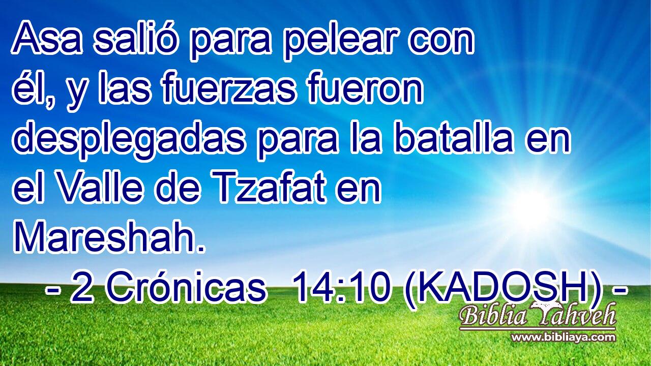  Asa salió para pelear con él, y las fuerzas fueron desplegadas para la batalla en el Valle de Tzafat en Mareshah. 