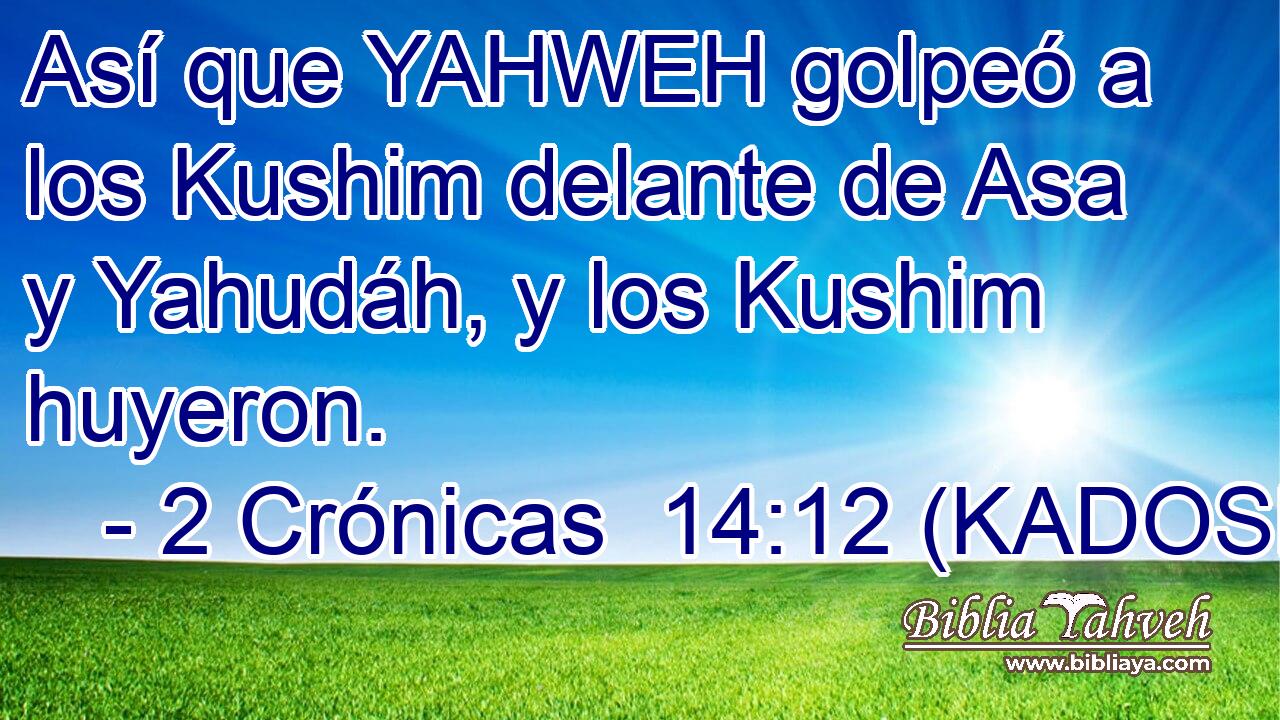  Así que YAHWEH golpeó a los Kushim delante de Asa y Yahudáh, y los Kushim huyeron. 