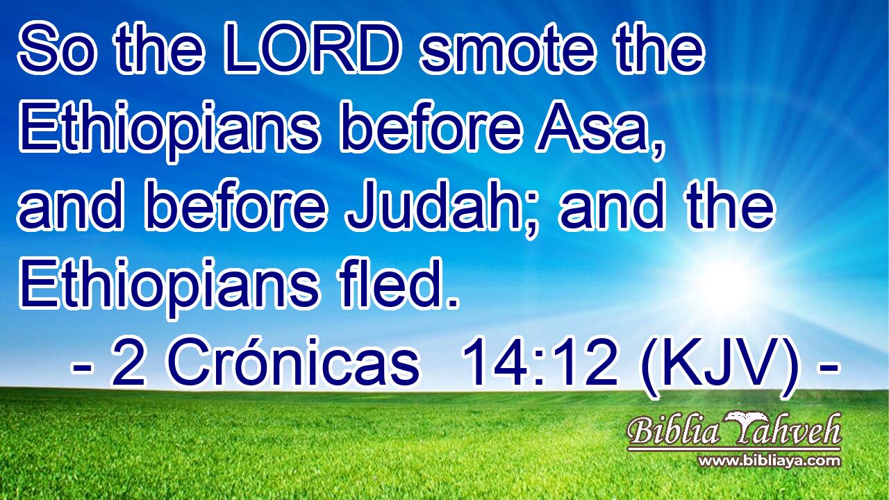 So the LORD smote the Ethiopians before Asa, and before Judah; and the Ethiopians fled.