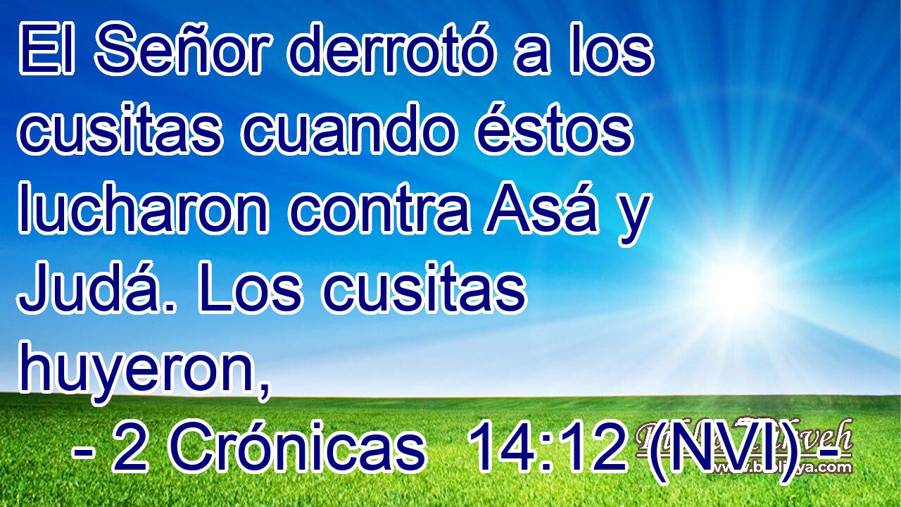  El Señor derrotó a los cusitas cuando éstos lucharon contra Asá y Judá. Los cusitas huyeron, 