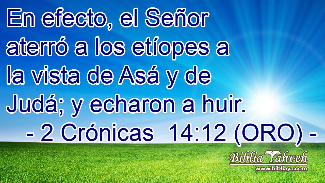  En efecto, el Señor aterró a los etíopes a la vista de Asá y de Judá; y echaron a huir. 