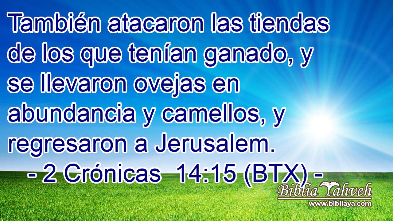 También atacaron las tiendas de los que tenían ganado, y se llevaron ovejas en abundancia y camellos, y regresaron a Jerusalem.