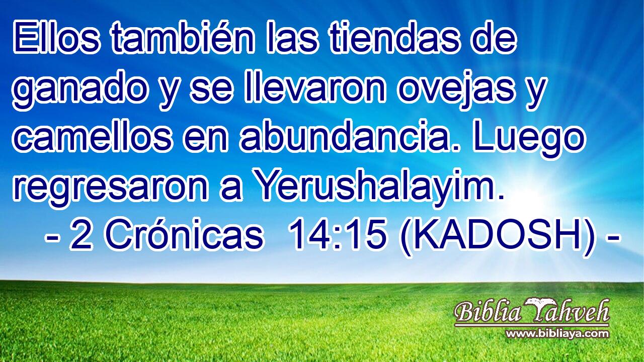  Ellos también las tiendas de ganado y se llevaron ovejas y camellos en abundancia. Luego regresaron a Yerushalayim. 
