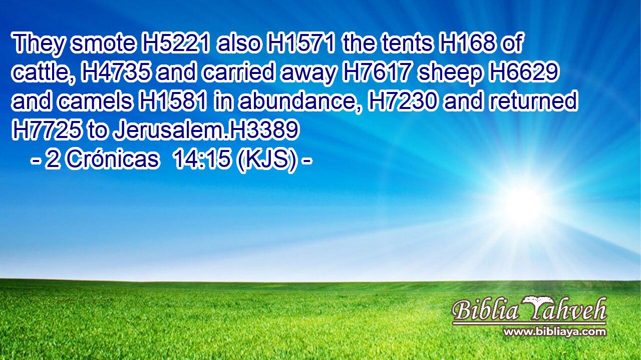 They smote H5221 also H1571 the tents H168 of cattle, H4735 and carried away H7617 sheep H6629 and camels H1581 in abundance, H7230 and returned H7725 to Jerusalem.H3389